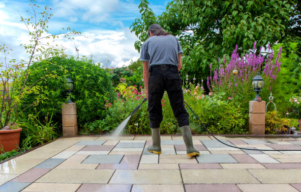 Best Spring Cleaning  in Tolleson, AZ